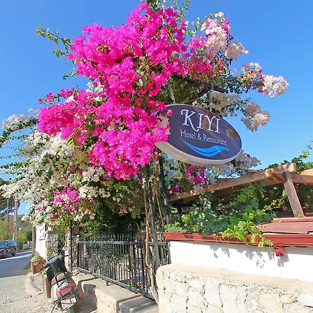 Kiyi *