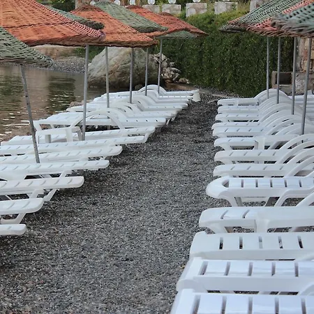 Ξενοδοχείο Kiyi *