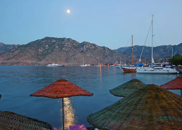 ホテル Kiyi セリミエ