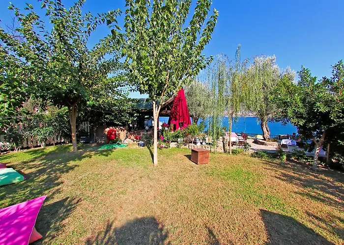 ホテル Kiyi セリミエ